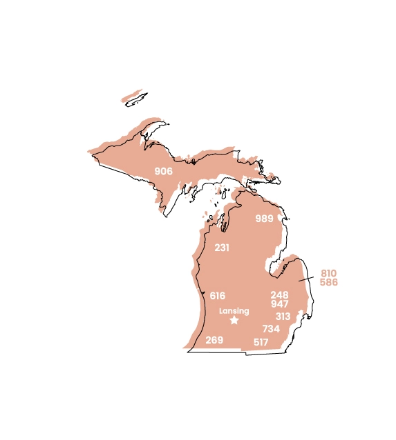 Michigan map showing location of area code 734 within the state
