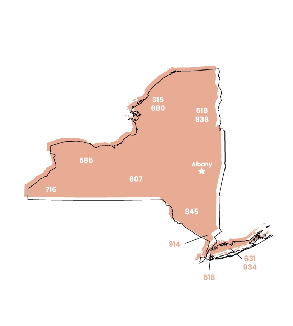 New York map showing location of area code 212 within the state